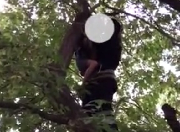 В Бузулуке снимать сорванца с дерева пришлось спасателям