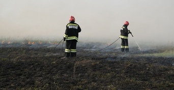 В Оренбуржье из-за попытки сжечь сено едва не сгорел заповедник