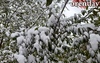 Май дает возможность увидеть оренбуржцам снег