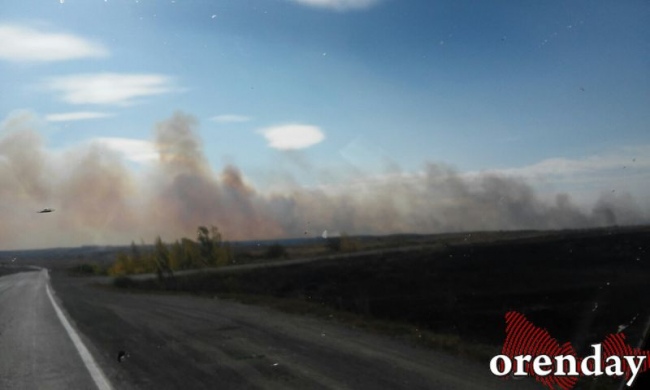 Больше 149 гектаров травы выгорело с начала года в Оренбуржье