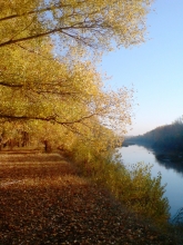 Это осень на реке Илек, на границе с Казахстаном. наши любимые рыболовные места. Виктория Фролова Увеличить